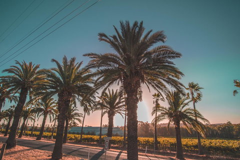 Seppelts View Cabins - Redcliffe Tourism 18