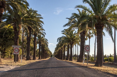 Seppelts View Cabins - Redcliffe Tourism 43