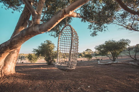 Seppelts View Cabins - Redcliffe Tourism 15