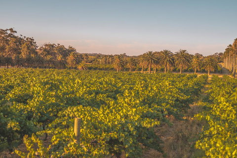Seppelts View Cabins - Redcliffe Tourism 8