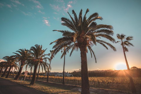 Seppelts View Cabins - Redcliffe Tourism 2