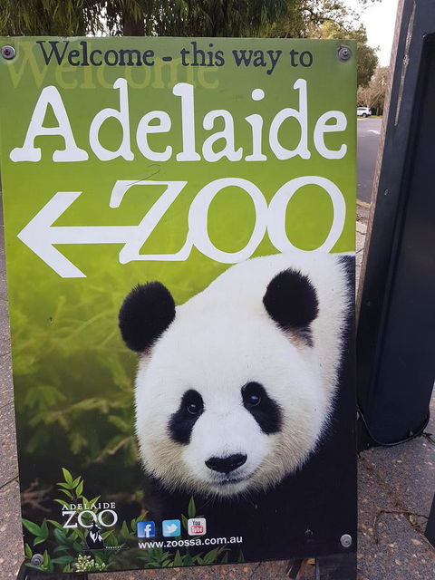 Adelaide Style Accommodation-Close To City-North Adelaide-3 Bdrm- FREE Parking - Redcliffe Tourism 35
