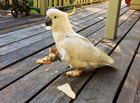 Aldgate Valley Bed And Breakfast - Redcliffe Tourism 40
