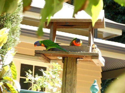 Aldgate Valley Bed And Breakfast - Redcliffe Tourism 42
