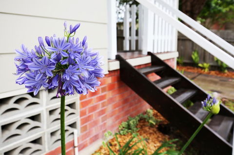 Hudson Bay @ Basin View-Pet Friendly-15 Mins To Hyams Beach - Redcliffe Tourism 38