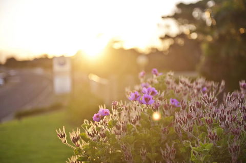 Kangaroo Island Seaside Inn - Redcliffe Tourism 33