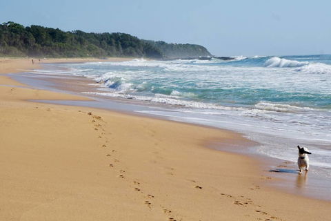 Culburra Beachhouse - Redcliffe Tourism 7