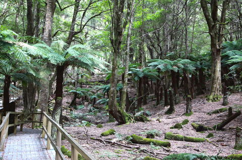 Wallace Lodge - PID-STRA-16871 - Redcliffe Tourism 11