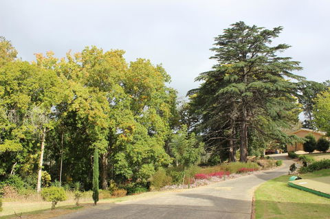 Pirralilla Estate Adelaide Hills - Redcliffe Tourism 17