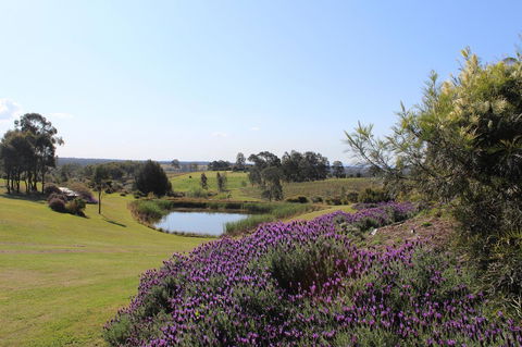 Beltana Villas - Redcliffe Tourism 7