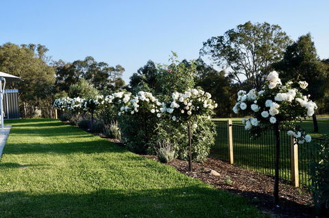 Beltana Villas - Redcliffe Tourism 2
