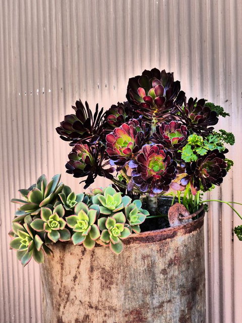 Andy\'s Accommodation - Redcliffe Tourism 13