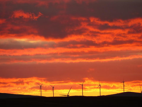 Andy\'s Accommodation - Redcliffe Tourism 11