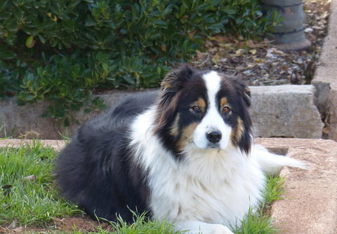 Andy\'s Accommodation - Redcliffe Tourism 17