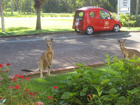 Aston Motel Yamba - Redcliffe Tourism 6