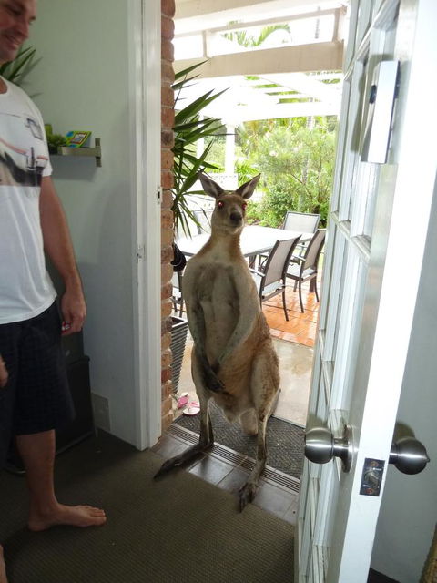 Aston Motel Yamba - Redcliffe Tourism 10