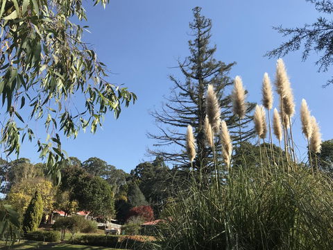 Forest Lodge Resort - Redcliffe Tourism 24