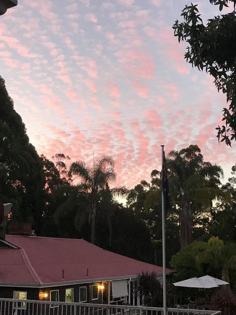 Forest Lodge Resort - Redcliffe Tourism 44