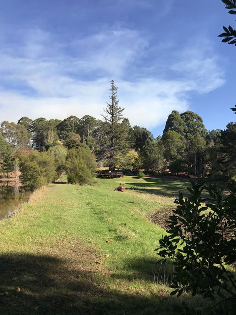 Forest Lodge Resort - Redcliffe Tourism 31