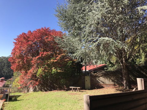 Forest Lodge Resort - Redcliffe Tourism 42