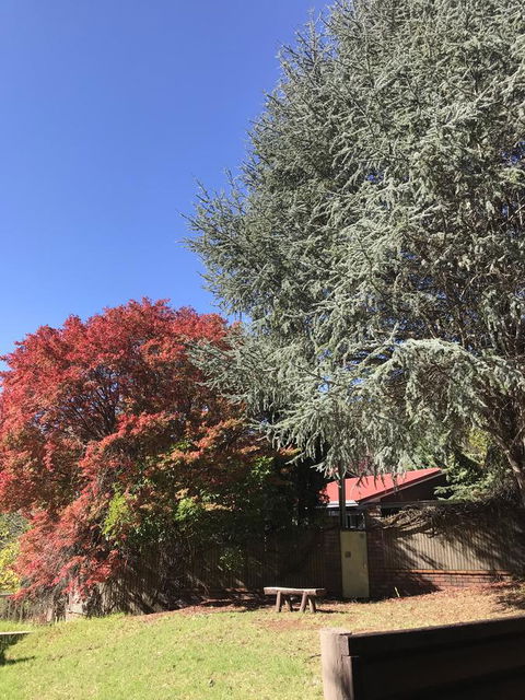 Forest Lodge Resort - Redcliffe Tourism 35