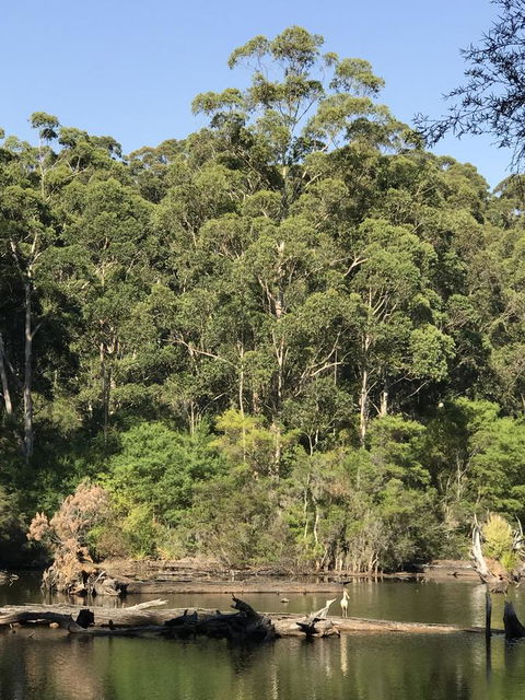 Forest Lodge Resort - Redcliffe Tourism 22