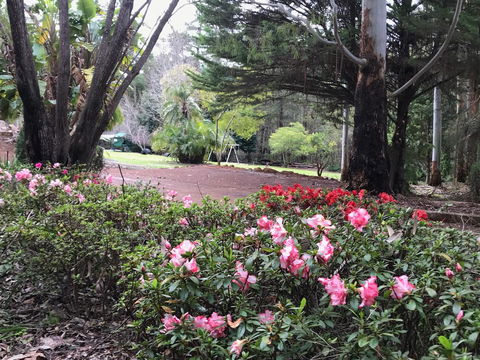 Forest Lodge Resort - Redcliffe Tourism 12