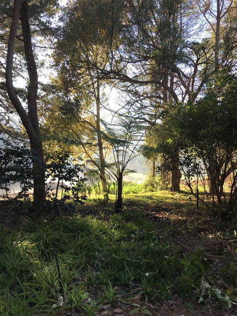 Forest Lodge Resort - Redcliffe Tourism 33