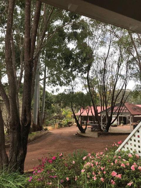 Forest Lodge Resort - Redcliffe Tourism 9