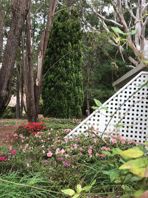 Forest Lodge Resort - Redcliffe Tourism 7