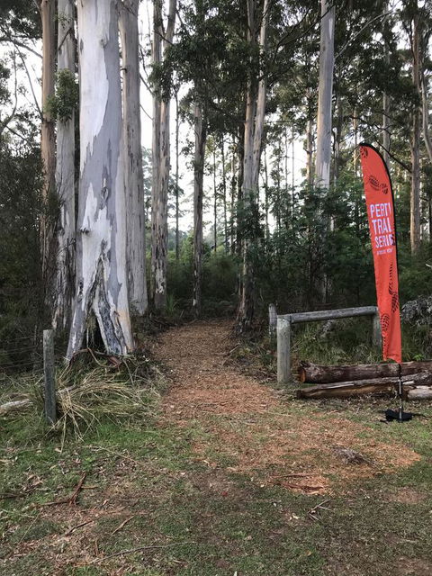 Forest Lodge Resort - Redcliffe Tourism 28