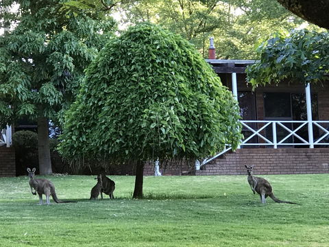 Forest Lodge Resort - Redcliffe Tourism 1