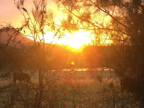 Grapevines Boutique Accommodation - Redcliffe Tourism 27