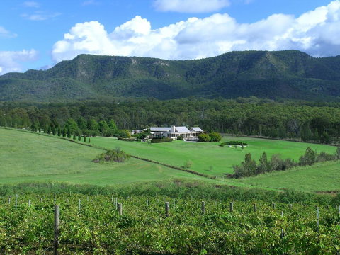 Grapevines Boutique Accommodation - Redcliffe Tourism 23