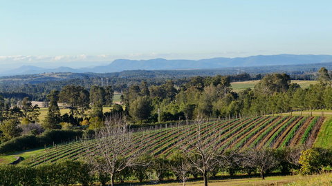 Grapevines Boutique Accommodation - Redcliffe Tourism 21