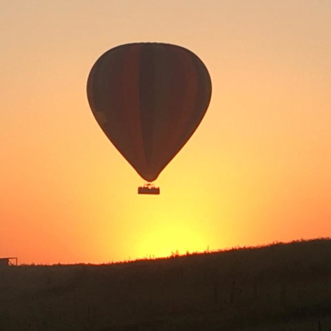 Grapevines Boutique Accommodation - Redcliffe Tourism 13