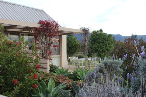 Grapevines Boutique Accommodation - Redcliffe Tourism 28
