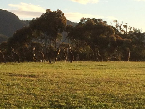 Grapevines Boutique Accommodation - Redcliffe Tourism 26