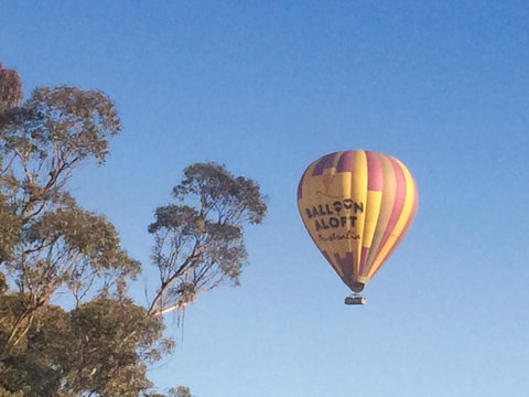 Grapevines Boutique Accommodation - Redcliffe Tourism 12