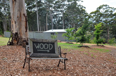 The Floating Forest - Redcliffe Tourism 11