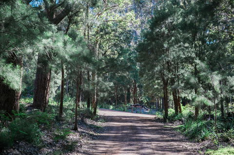 The Floating Forest - Redcliffe Tourism 30