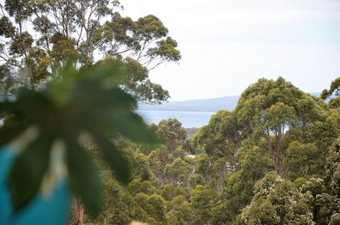 The Floating Forest - Redcliffe Tourism 8