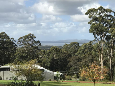 The Floating Forest - Redcliffe Tourism 2