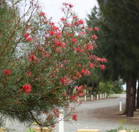 The Heights Bed  Breakfast - Redcliffe Tourism