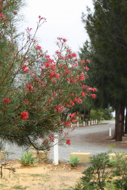 The Heights Bed & Breakfast - Redcliffe Tourism 0