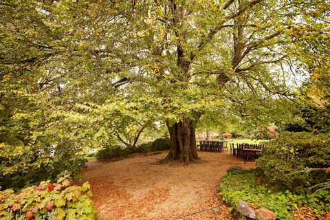 Nesuto Leura Gardens (formerly Waldorf Leura Gardens Resort) - Redcliffe Tourism 1