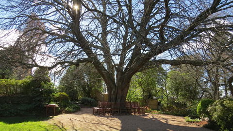 Nesuto Leura Gardens (formerly Waldorf Leura Gardens Resort) - Redcliffe Tourism 3