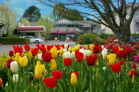 Nesuto Leura Gardens (formerly Waldorf Leura Gardens Resort) - Redcliffe Tourism 0