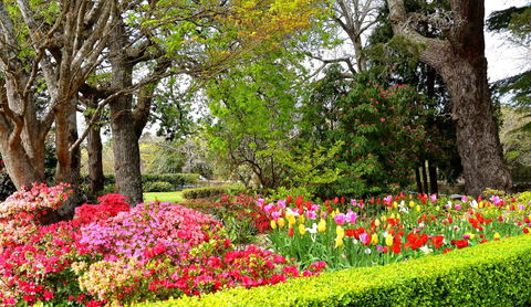 Nesuto Leura Gardens (formerly Waldorf Leura Gardens Resort) - Redcliffe Tourism 8