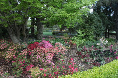 Nesuto Leura Gardens (formerly Waldorf Leura Gardens Resort) - Redcliffe Tourism 2